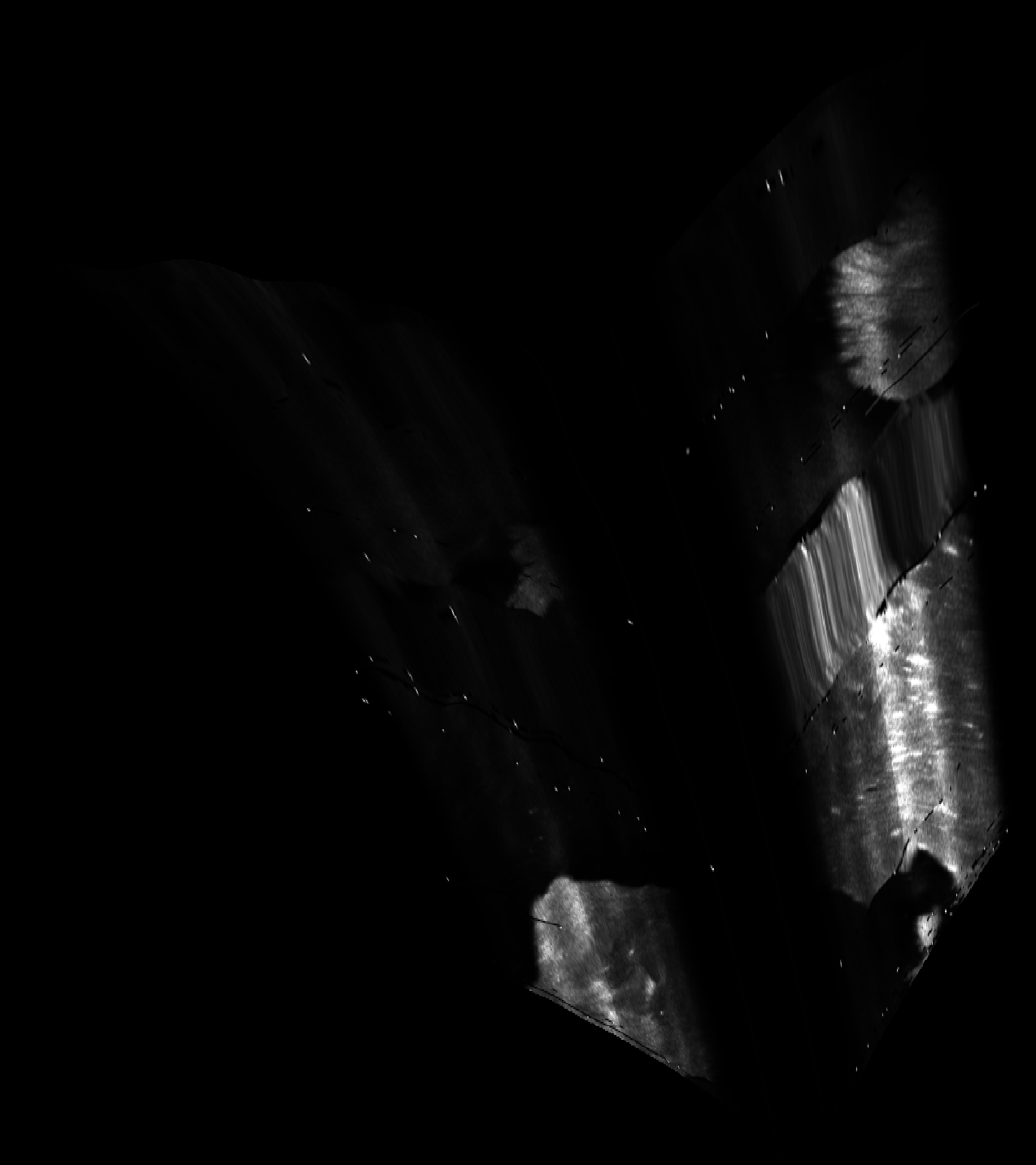 ascat_grayscale_proj_forward.png